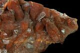 Natural, Red Quartz Crystal Cluster - Morocco #138896-2